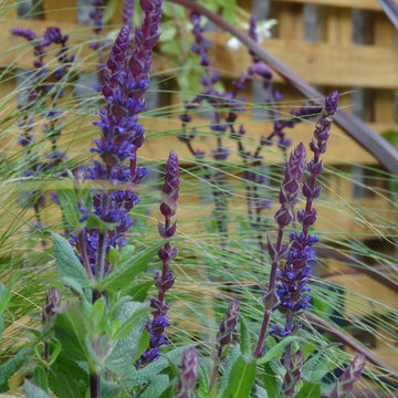 Fulham Garden