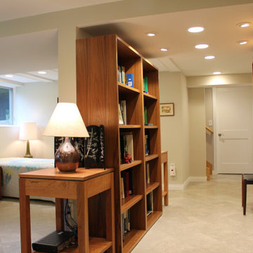 Basement Remodel