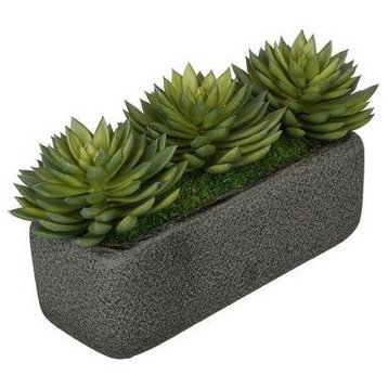 Artificial Green Pointed Echeveria Garden in Black Sandy-Texture Rectangle