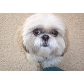 Michael Feldman's photo