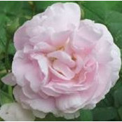 Jill Gorski's photo