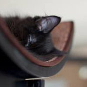 Meredith Roberts's photo