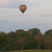 Maureen Barry's photo
