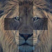 Jason Roth's photo