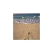Maribel Arranz's photo