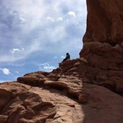 Qiyun Miao's photo