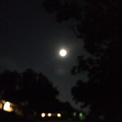 Shelly Harvey's photo
