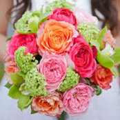 Angela Osorio's photo
