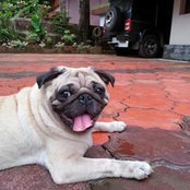 Sangeetha Subhash's photo