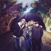 Adam Aly's photo