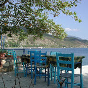 Demetri Alexandrou's photo