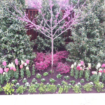 Bellaire Texas
