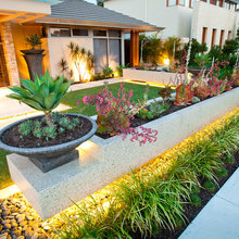 Front yard plantings