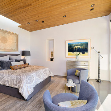 2020 Haciendas Parade of Homes Winner- Mid Century Modern