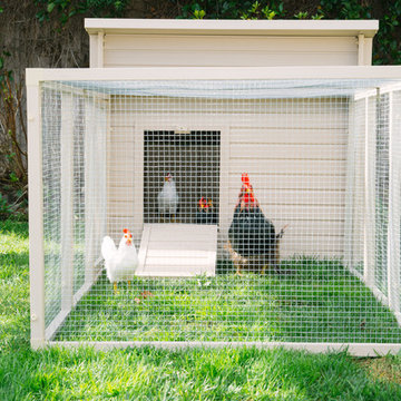 Chicken Coop for Urban Farming