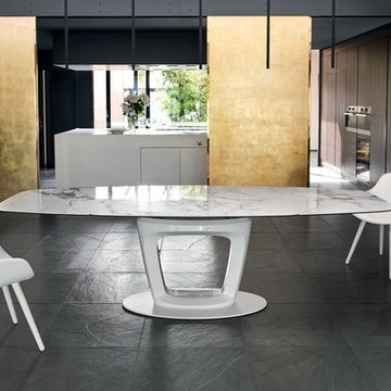 Modern dining room