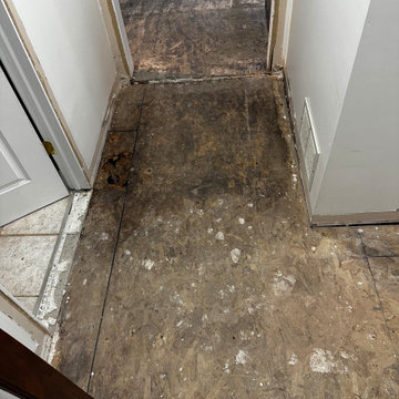 Current Canton water damaged main floor and Bathroom renovation