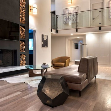 Contemporary Family Room
