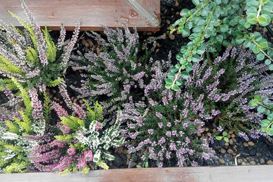 Inspiration for a landscaping in Other.