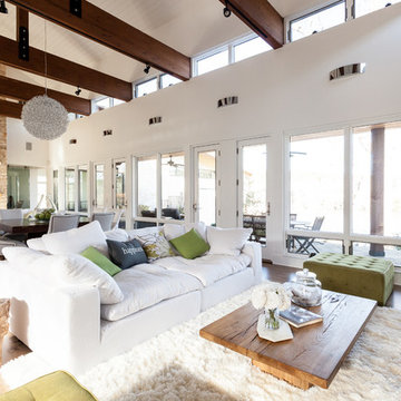 Transitional Living Room