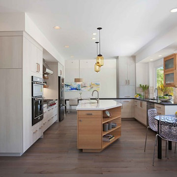 European Minimalism in Rancho Peñasquitos