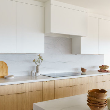 Lake Hodges Whole home Remodel