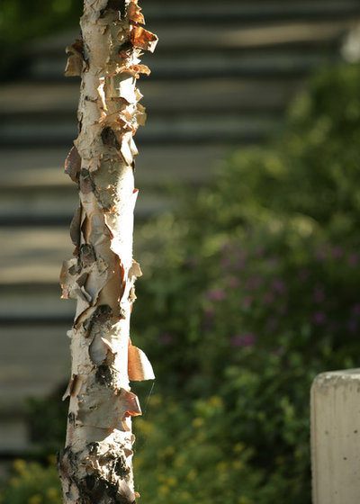 Современный Сад by Wagner Hodgson