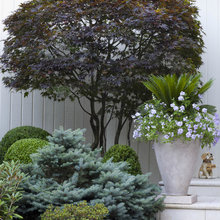 Plant Material