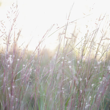 Bring Nature Near: National Park Service