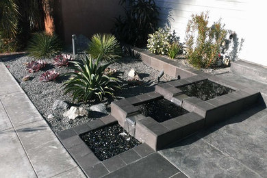 Design ideas for a contemporary garden in San Diego.