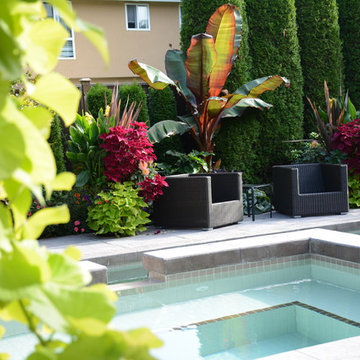 Poolside Garden and Containers
