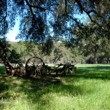San Diego Ranch - 43 AC Running Creek