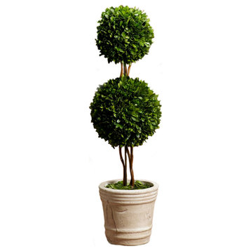 Preserved Boxwood Ball Topiary in a Pot, 28" Double Boxwood Ball