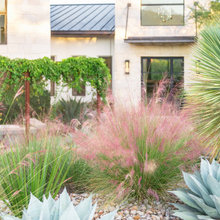 Landscaping Ideas for Texas House