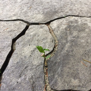 Sloped Drive Re n' Re - Concrete Pavers, North Van, BC (Jointing)