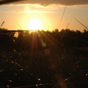 Claire Dugoni's photo
