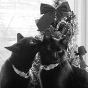 Lynn Colwell's photo