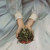 Do Gia's photo