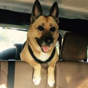 Paula Cavello's photo