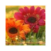 Cheryl Cooper's photo