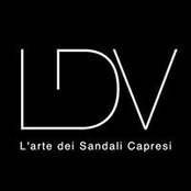 Foto de Ldv Capri