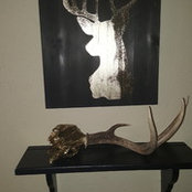 Malachi Lamas's photo