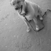 Xyra Vidal's photo