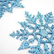 Steph Ferretti's photo