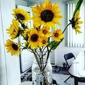 Mindy Settles's photo