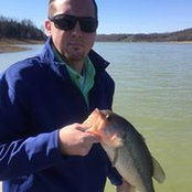Dave Whitlock's photo