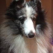 Janette Nowak's photo