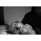 Juka Araikawa's photo