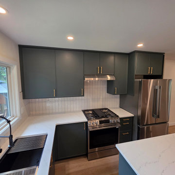 Full House Renovation