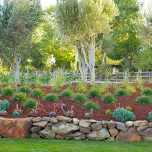Landscape Ideas